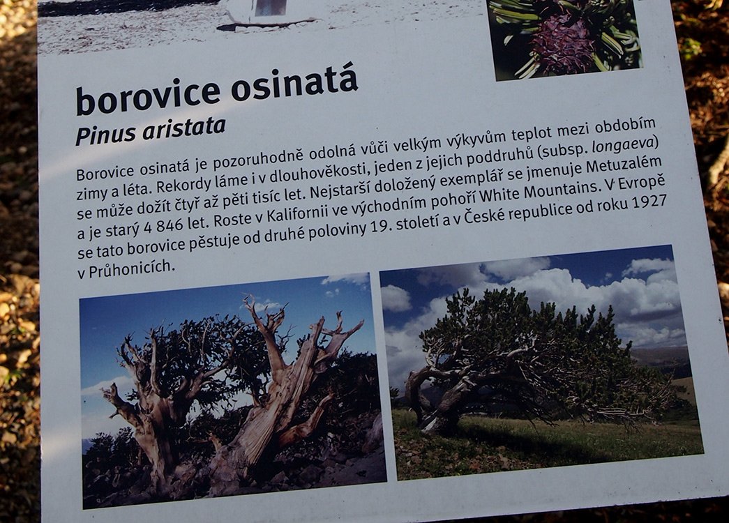 /Cedule v Botanické zahradě.