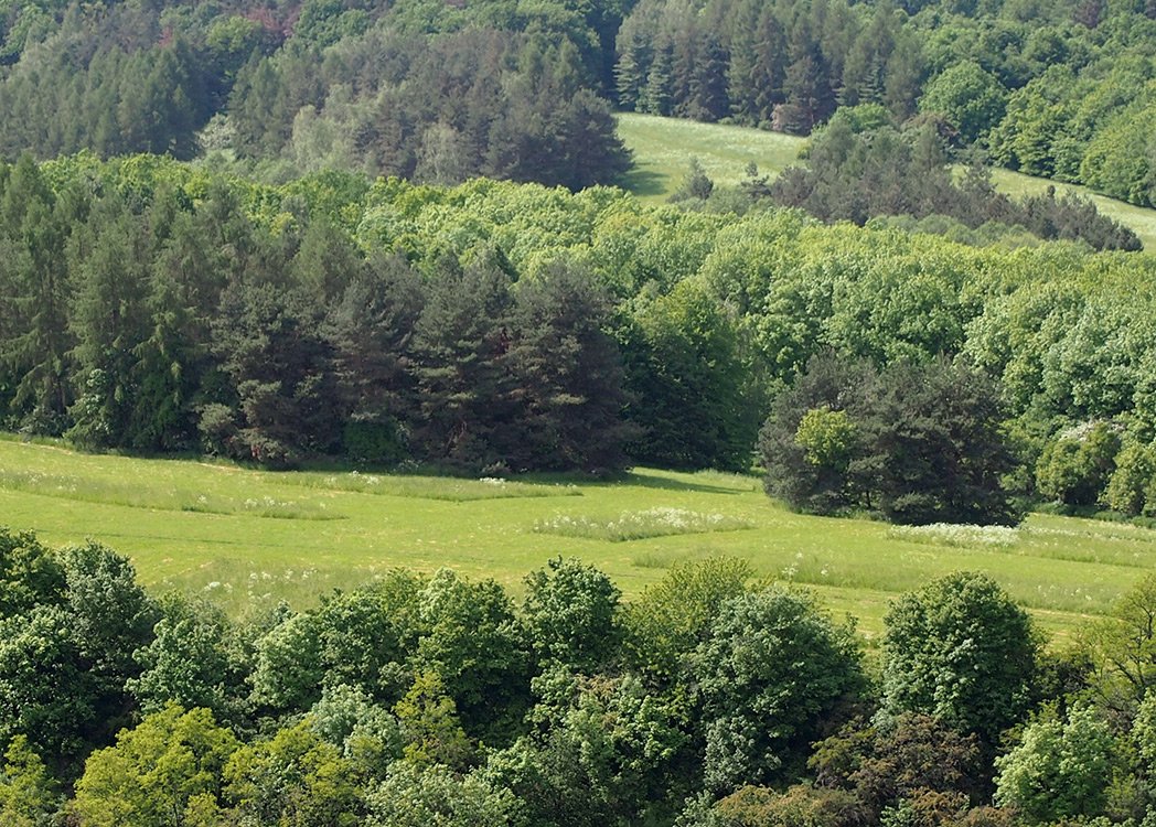 /Mozaikově sečená louka pod skalami Divoké Šárky.