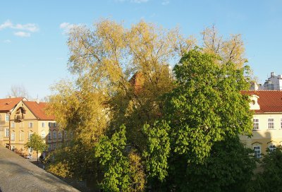 Podvečerní obrázky z Karlova mostu