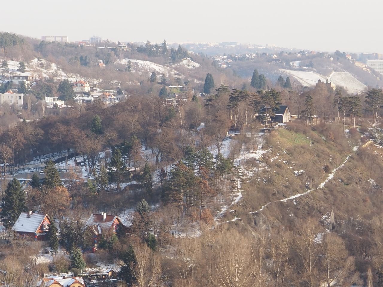 /Výhled na svah ZOO.