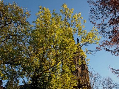 Vyšehrad