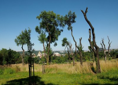Park nad Kotlářkou