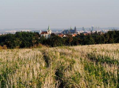O starodávné cestě z Levého Hradce na Pražský hrad.