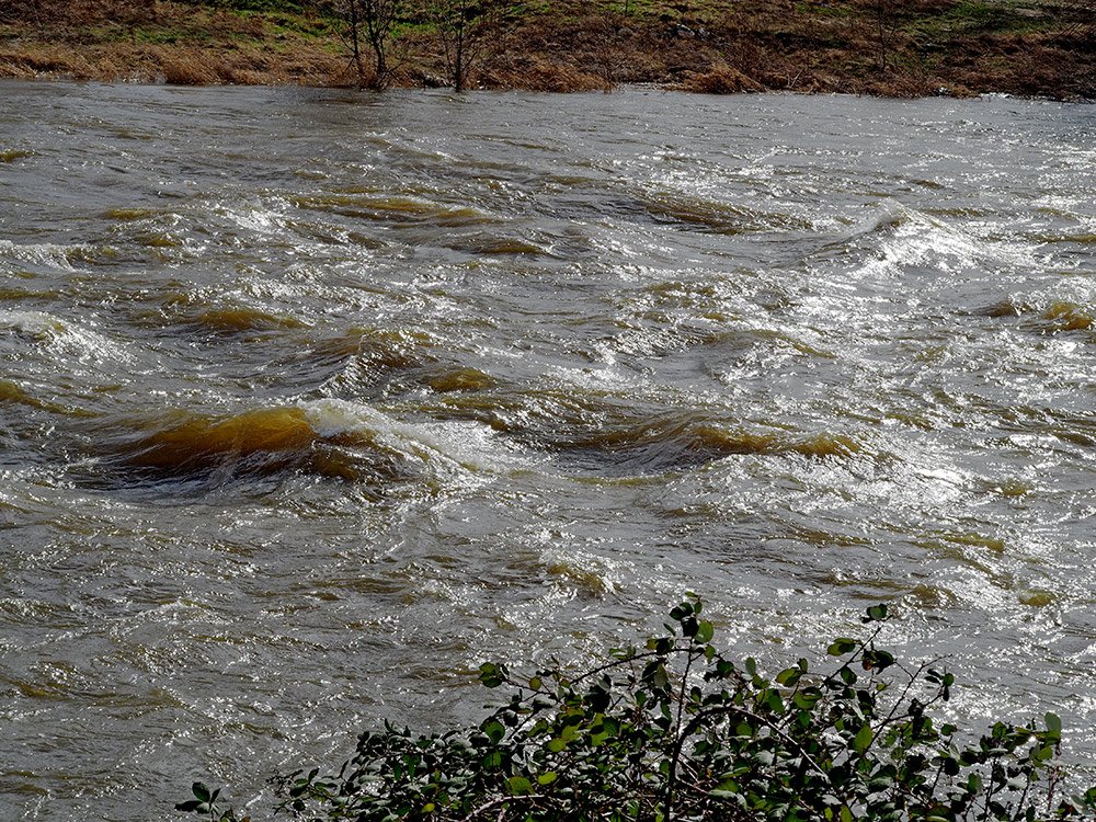 /Vlny na Vltavě. /Vlny na Vltavě.