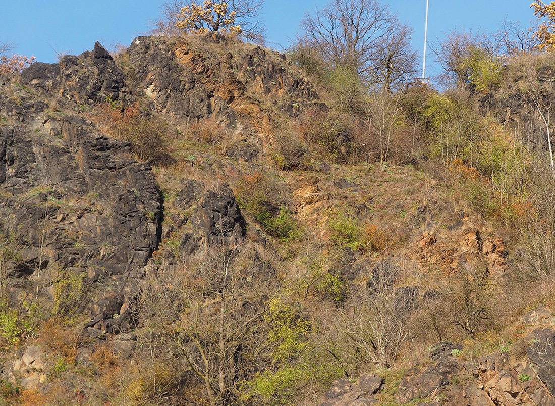 /Ve tmavých břidlicích je štíhlá žíla rezavého porfyritu. /Ve tmavých břidlicích je štíhlá žíla rezavého porfyritu.