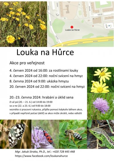 Akce pro veřejnost na louce na Hůrce.