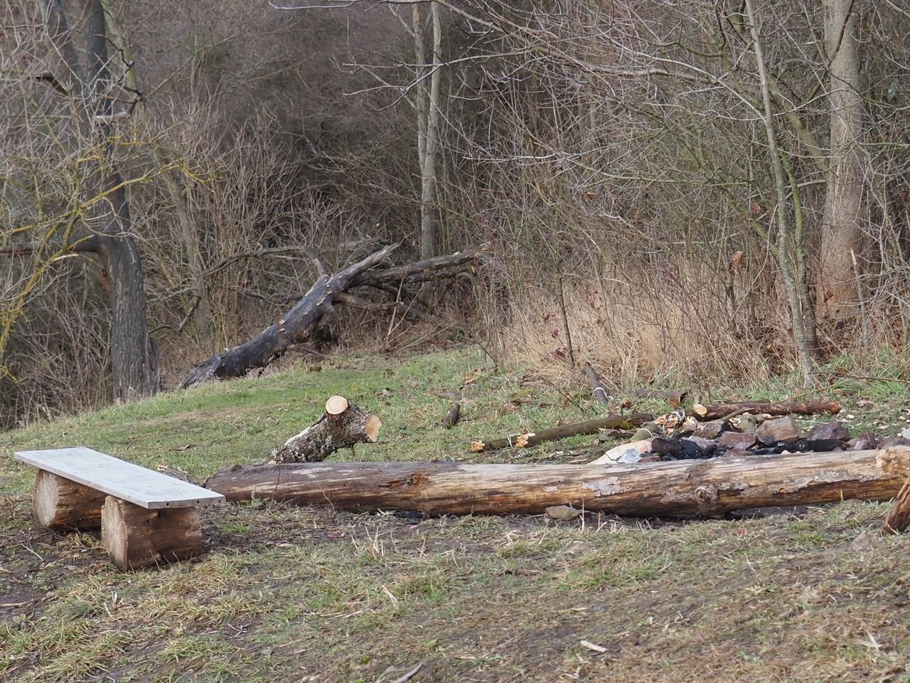 /Odlomený kus kmene javoru je na zemi vzadu za ohništěm.