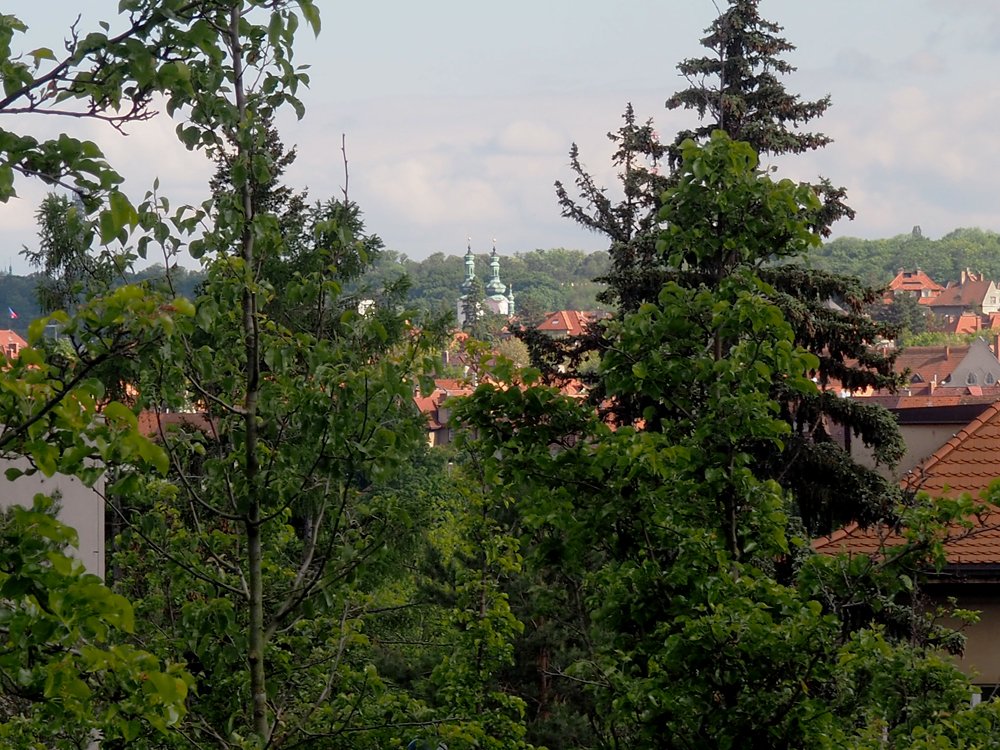 /Výhled na Strahovský klášter od kaple na Hadovce.