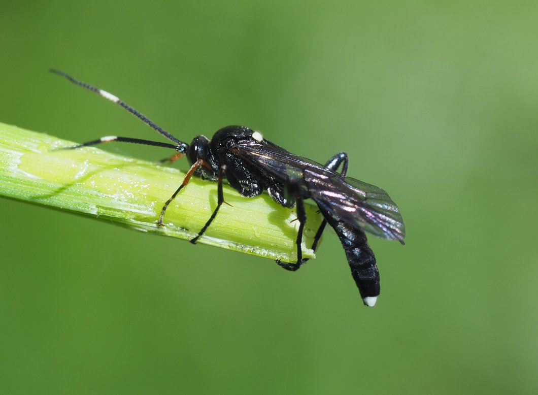 /Lumek, květen 2021.