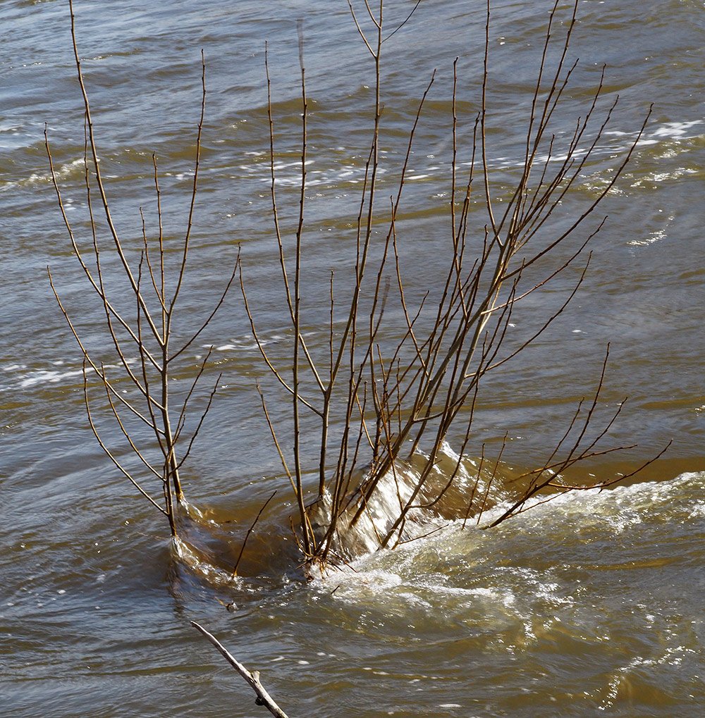 /Po deštích u vltavského břehu.