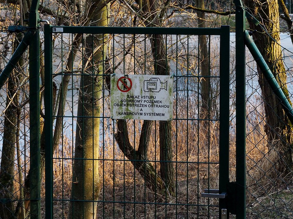 /Rybník pod dohledem.