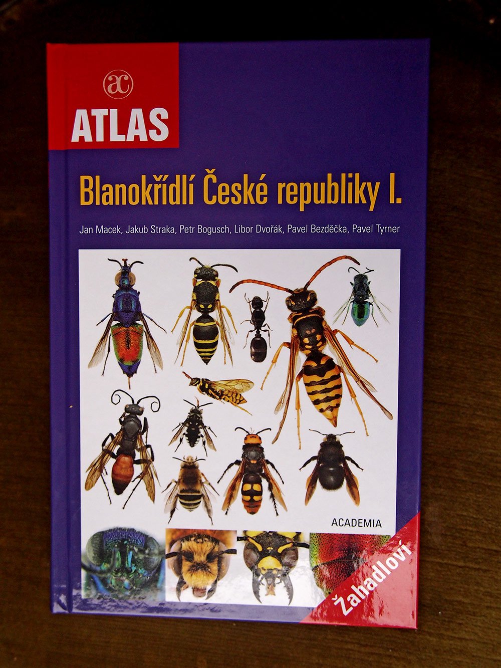 /Kniha Blanokřídlí, fotografie horní desky.