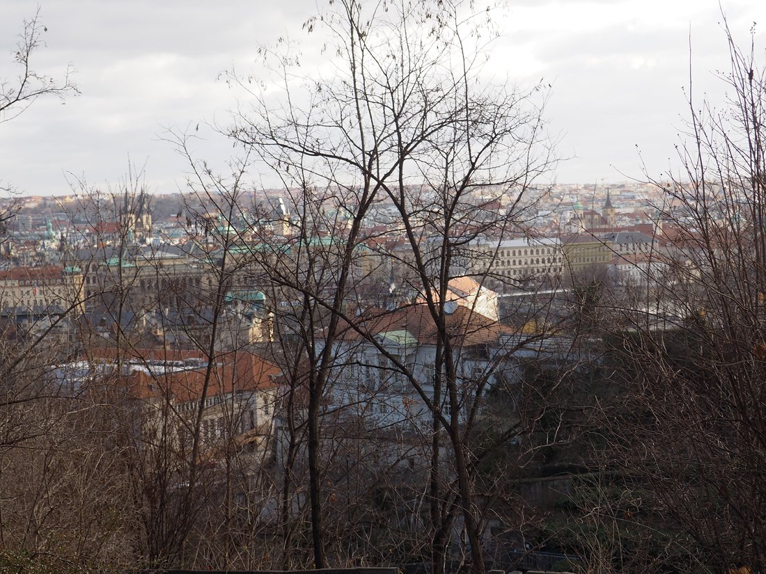 /Výhled Chotkovy sady. /Výhled Chotkovy sady.