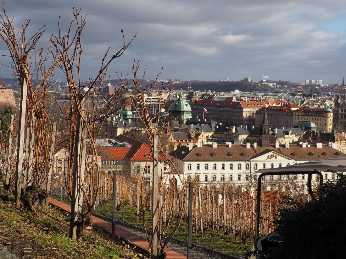 /Výhled ze Svatováckavské vinice.