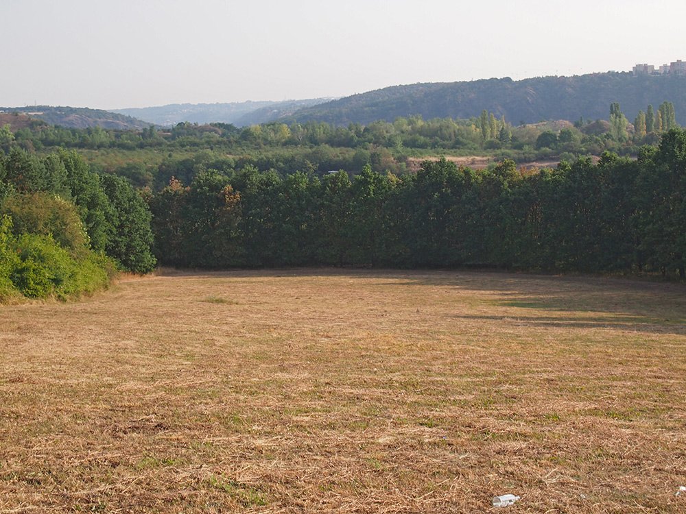 /Posečená louka. /Posečená louka.