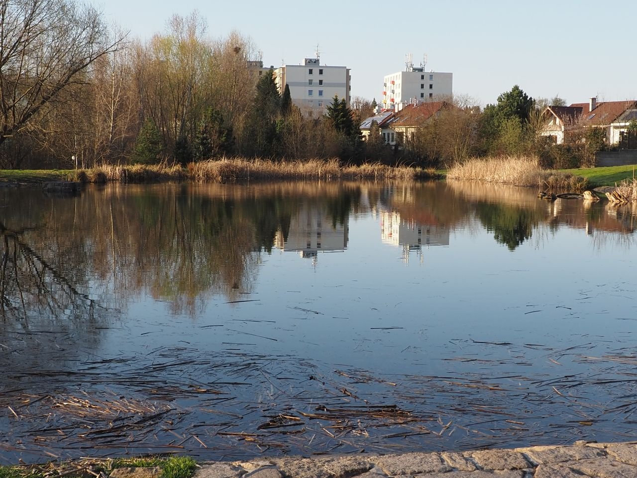 /Rybníček Terezka je blízko sídliště.