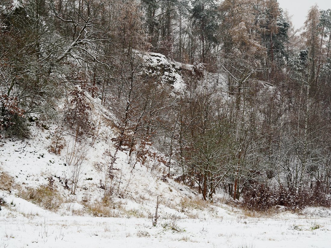 /Jižní stěna dobývacího prostoru hliniště Jenerálka.