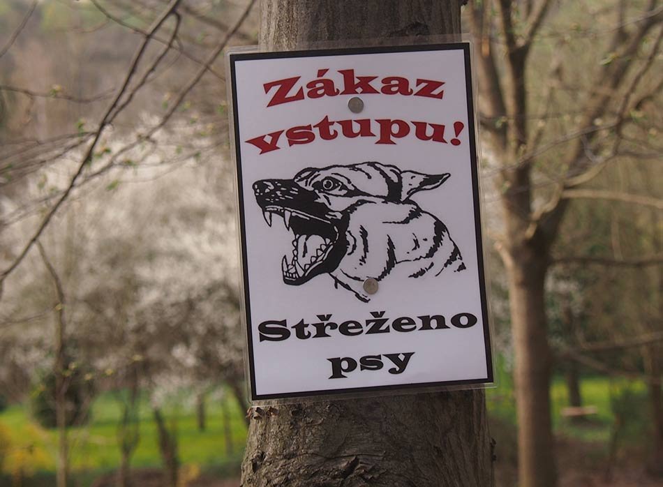 /Cedulka v lese.